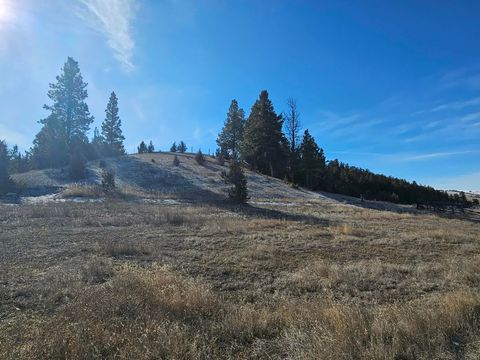 Tiny photo for 198 Mullan Trail Road, Gold Creek, MT 59733 (MLS # 30068599)