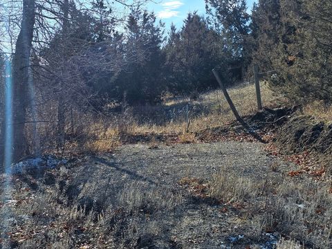 Tiny photo for 198 Mullan Trail Road, Gold Creek, MT 59733 (MLS # 30068599)