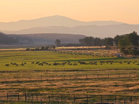 Tiny photo for 198 Mullan Trail Road, Gold Creek, MT 59733 (MLS # 30068599)