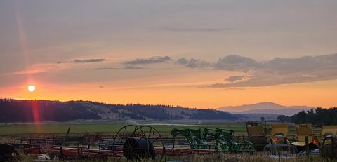 Tiny photo for 198 Mullan Trail Road, Gold Creek, MT 59733 (MLS # 30068599)