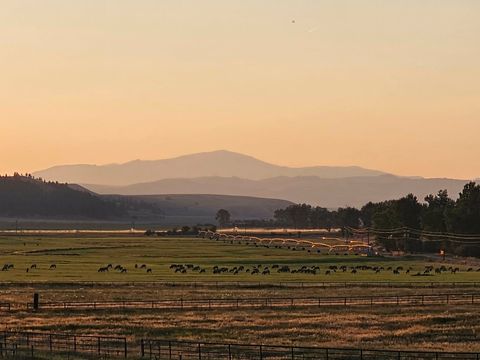 Tiny photo for 198 Mullan Trail Road, Gold Creek, MT 59733 (MLS # 30068599)