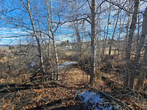 Tiny photo for 198 Mullan Trail Road, Gold Creek, MT 59733 (MLS # 30068599)