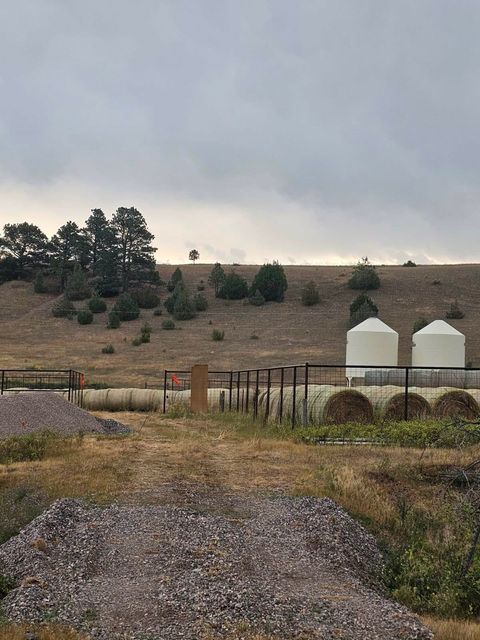 Tiny photo for 198 Mullan Trail Road, Gold Creek, MT 59733 (MLS # 30068599)