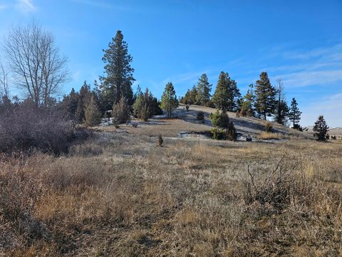 Tiny photo for 198 Mullan Trail Road, Gold Creek, MT 59733 (MLS # 30068599)