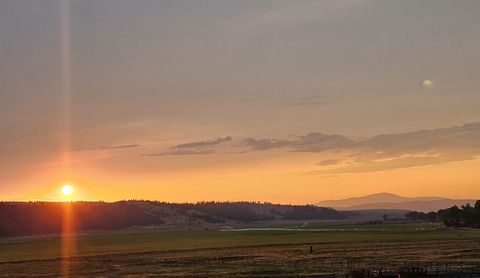 Tiny photo for 198 Mullan Trail Road, Gold Creek, MT 59733 (MLS # 30068599)