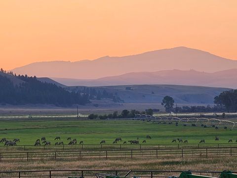 Tiny photo for 198 Mullan Trail Road, Gold Creek, MT 59733 (MLS # 30068599)