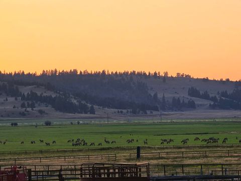 Tiny photo for 198 Mullan Trail Road, Gold Creek, MT 59733 (MLS # 30068599)