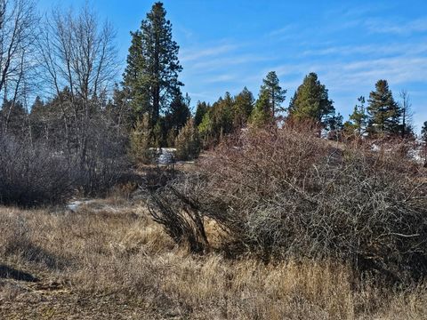 Tiny photo for 198 Mullan Trail Road, Gold Creek, MT 59733 (MLS # 30068599)