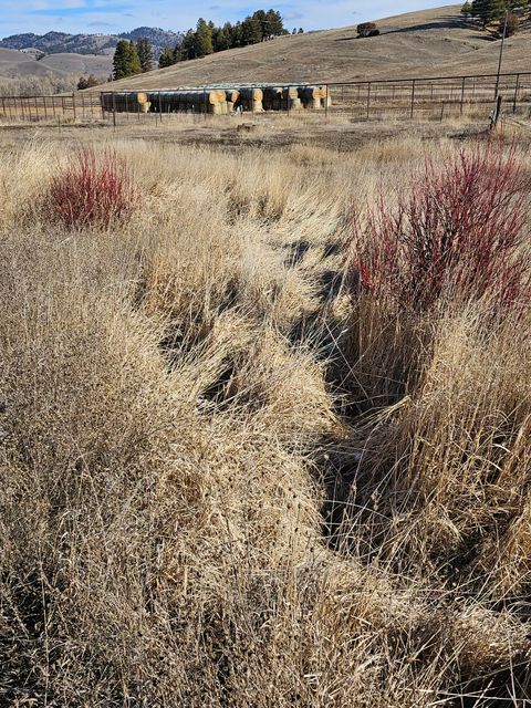 Tiny photo for 198 Mullan Trail Road, Gold Creek, MT 59733 (MLS # 30068599)