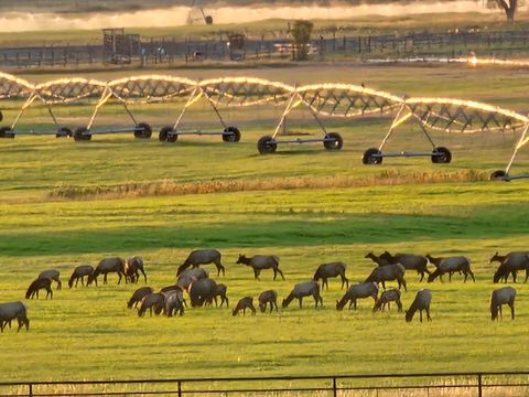 Tiny photo for 198 Mullan Trail Road, Gold Creek, MT 59733 (MLS # 30068599)