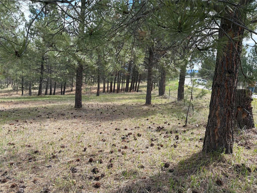 Photo of 535 El Capitan Loop, Stevensville, MT 59870 (MLS # 30068801)