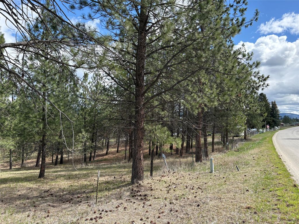Photo of 535 El Capitan Loop, Stevensville, MT 59870 (MLS # 30068801)