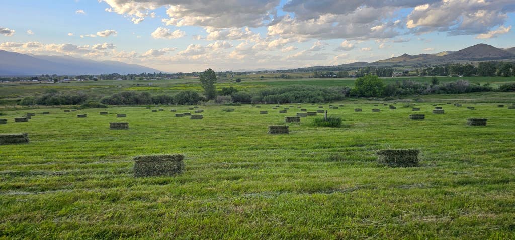 Photo of 794 Mason Lane, Corvallis, MT 59828 (MLS # 30060477)