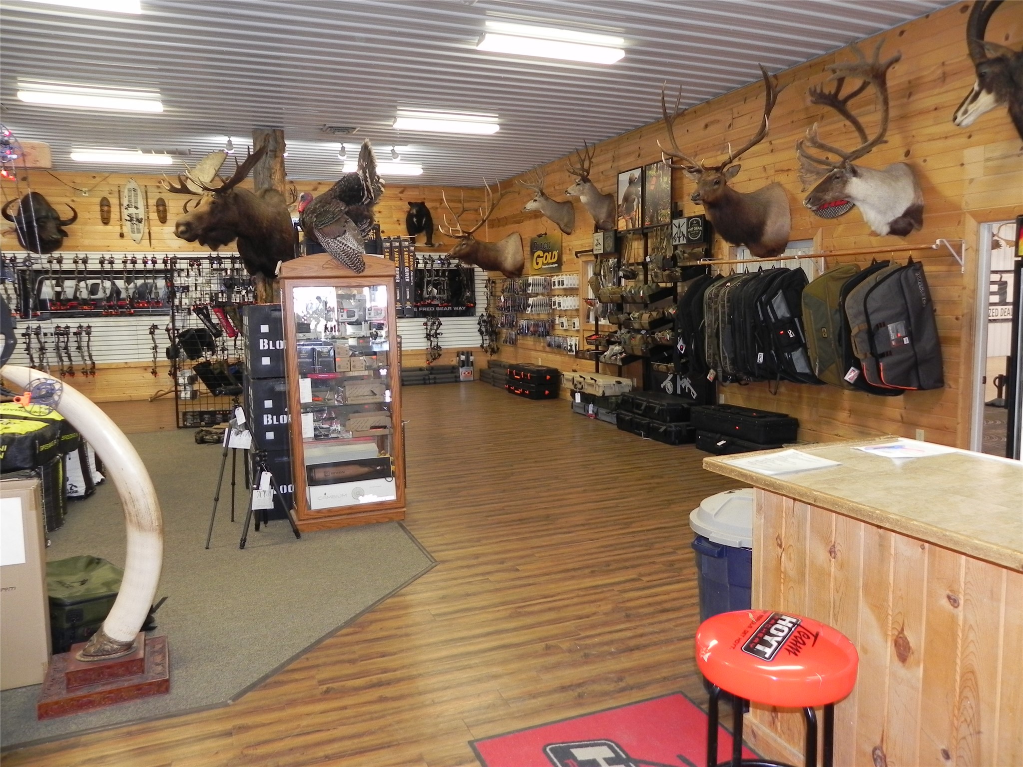 77 Laura Louise Lane