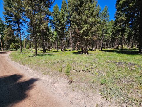 264 Evergreen Drive Seeley Lake MT 59868