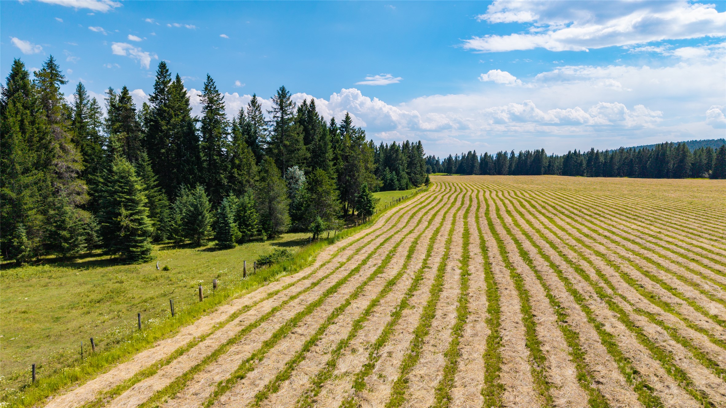 300 Barnes Lane
