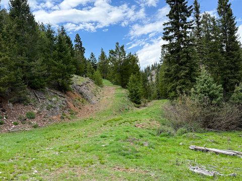 Tiny photo for NHN Hoover Creek Road, Helmville, MT 59843 (MLS # 30072259)