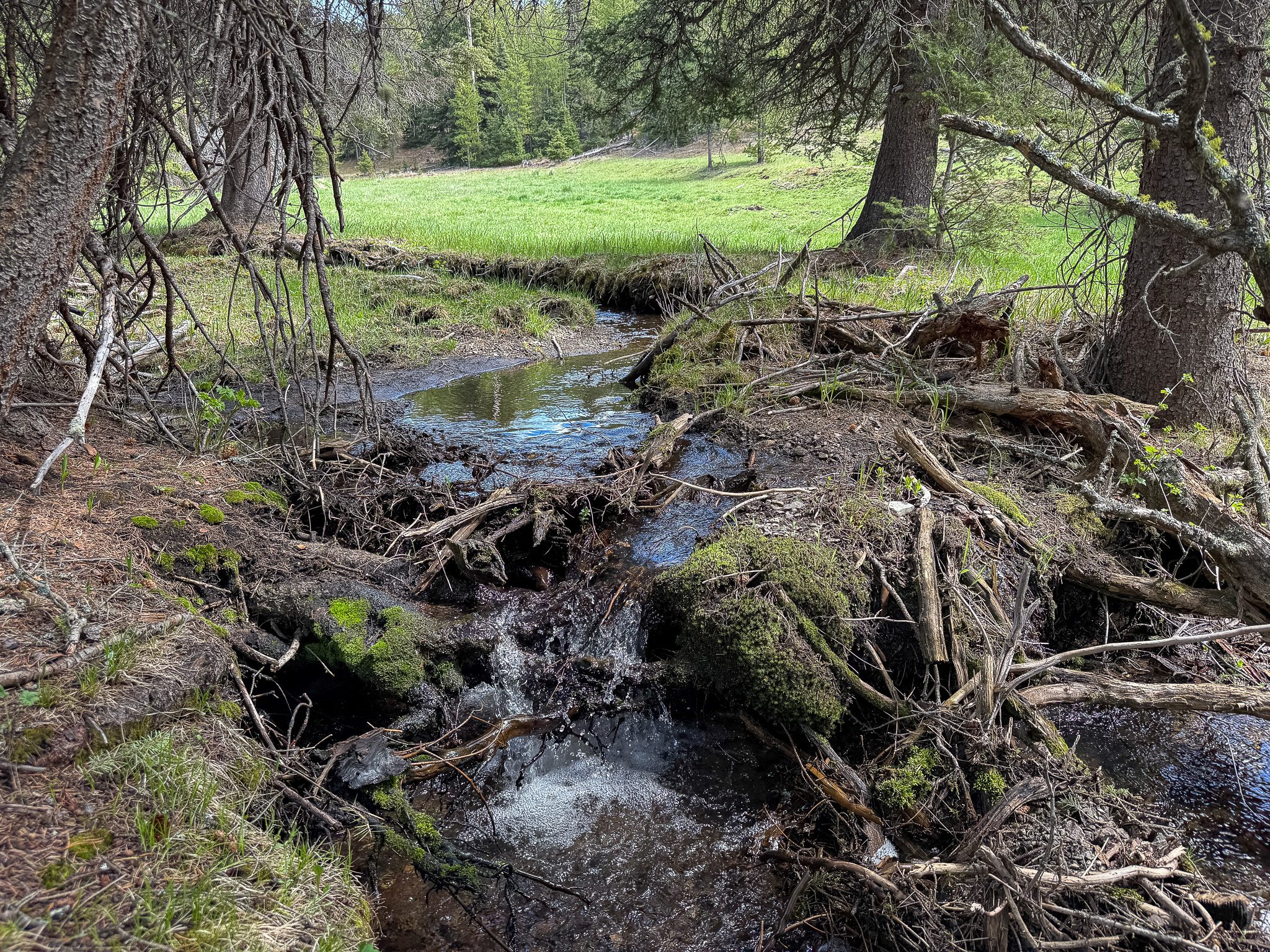 NHN Hoover Creek Road