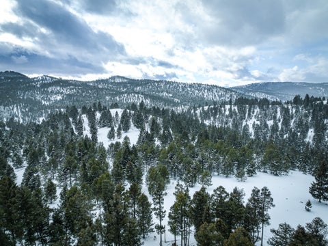 Tiny photo for NHN Hoover Creek Road, Helmville, MT 59843 (MLS # 30072259)