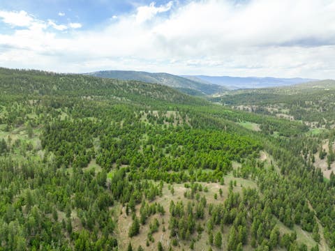 Tiny photo for NHN Hoover Creek Road, Helmville, MT 59843 (MLS # 30072259)
