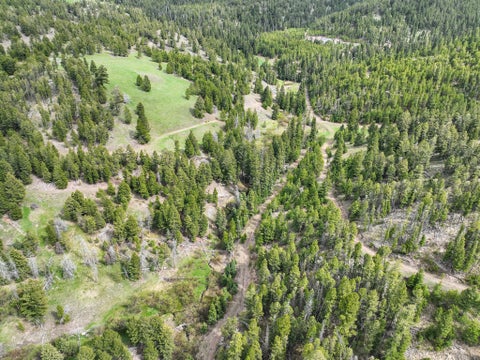 Tiny photo for NHN Hoover Creek Road, Helmville, MT 59843 (MLS # 30072259)