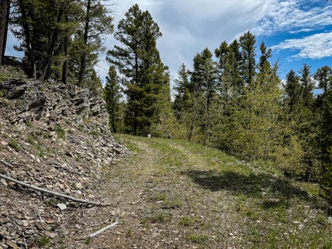 Tiny photo for NHN Hoover Creek Road, Helmville, MT 59843 (MLS # 30072259)