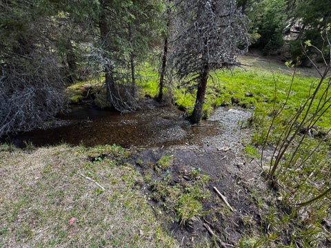 Tiny photo for NHN Hoover Creek Road, Helmville, MT 59843 (MLS # 30072259)