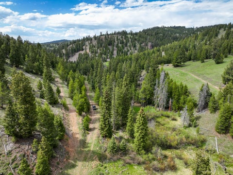 Tiny photo for NHN Hoover Creek Road, Helmville, MT 59843 (MLS # 30072259)