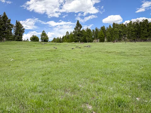 Tiny photo for NHN Hoover Creek Road, Helmville, MT 59843 (MLS # 30072259)