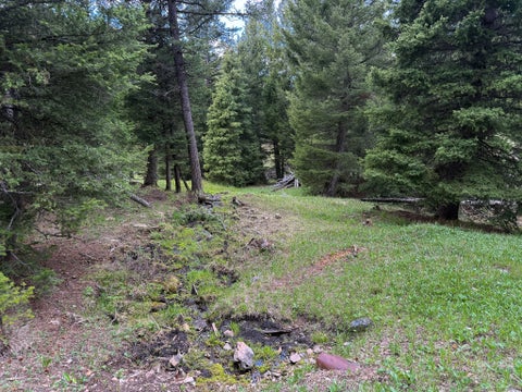 Tiny photo for NHN Hoover Creek Road, Helmville, MT 59843 (MLS # 30072259)