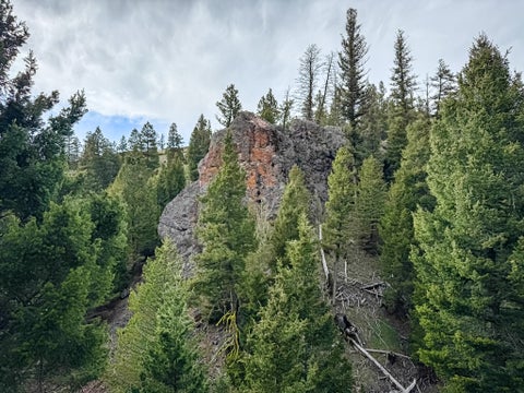 Tiny photo for NHN Hoover Creek Road, Helmville, MT 59843 (MLS # 30072259)