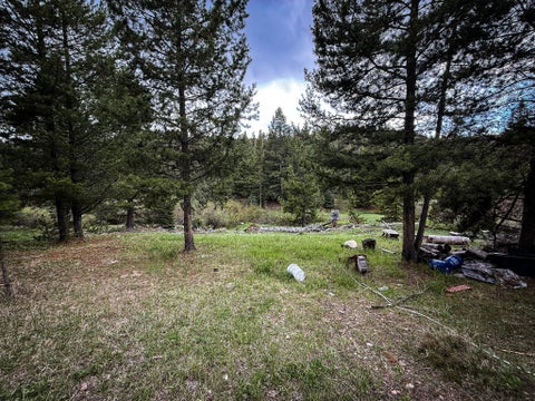 Tiny photo for NHN Hoover Creek Road, Helmville, MT 59843 (MLS # 30072259)
