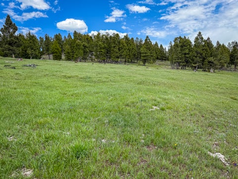 Tiny photo for NHN Hoover Creek Road, Helmville, MT 59843 (MLS # 30072259)
