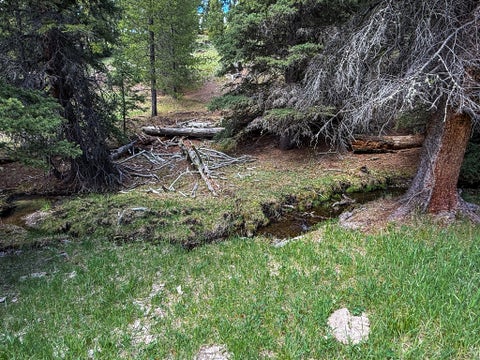 Tiny photo for NHN Hoover Creek Road, Helmville, MT 59843 (MLS # 30072259)