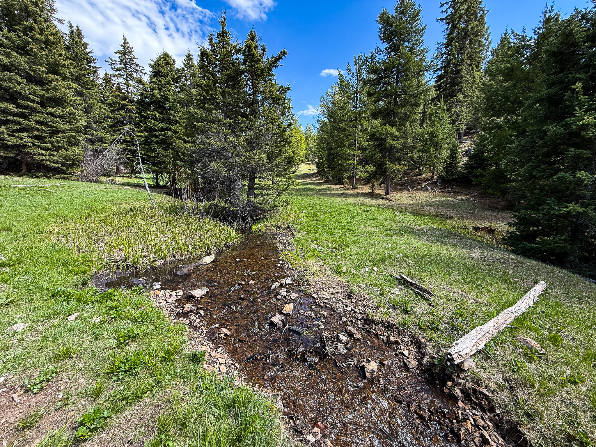 NHN Hoover Creek Road