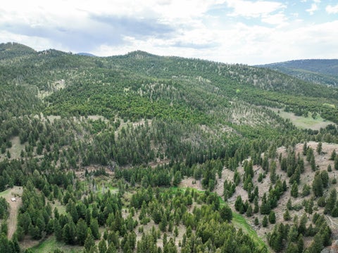 Tiny photo for NHN Hoover Creek Road, Helmville, MT 59843 (MLS # 30072259)
