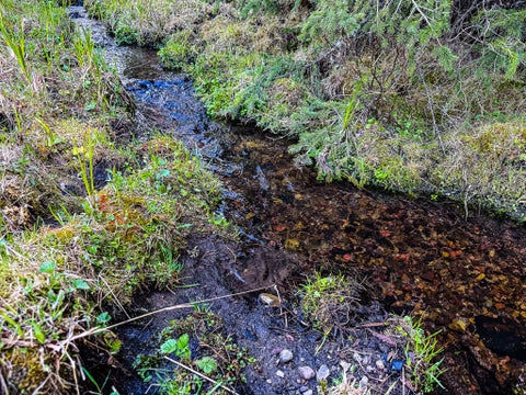 Tiny photo for NHN Hoover Creek Road, Helmville, MT 59843 (MLS # 30072259)