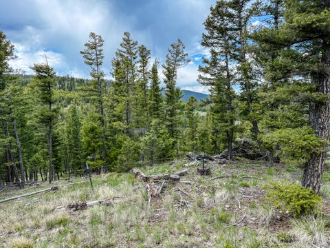 Tiny photo for NHN Hoover Creek Road, Helmville, MT 59843 (MLS # 30072259)
