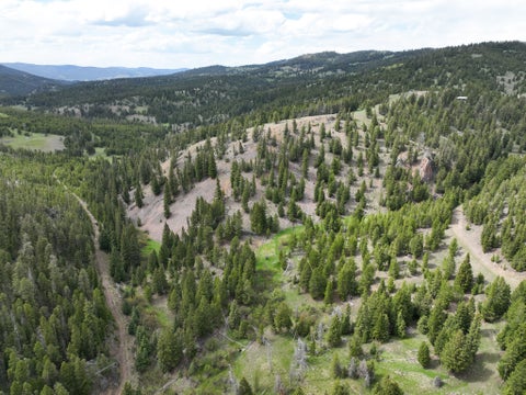 Tiny photo for NHN Hoover Creek Road, Helmville, MT 59843 (MLS # 30072259)