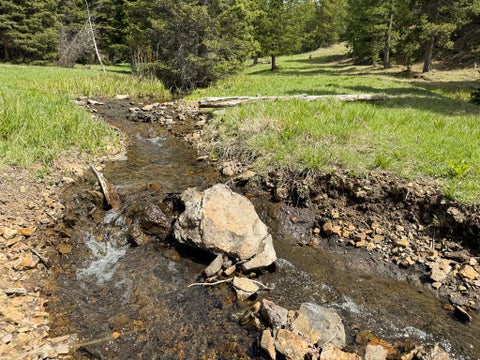 Tiny photo for NHN Hoover Creek Road, Helmville, MT 59843 (MLS # 30072259)