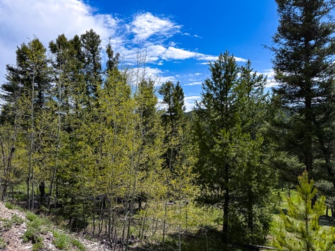 Tiny photo for NHN Hoover Creek Road, Helmville, MT 59843 (MLS # 30072259)