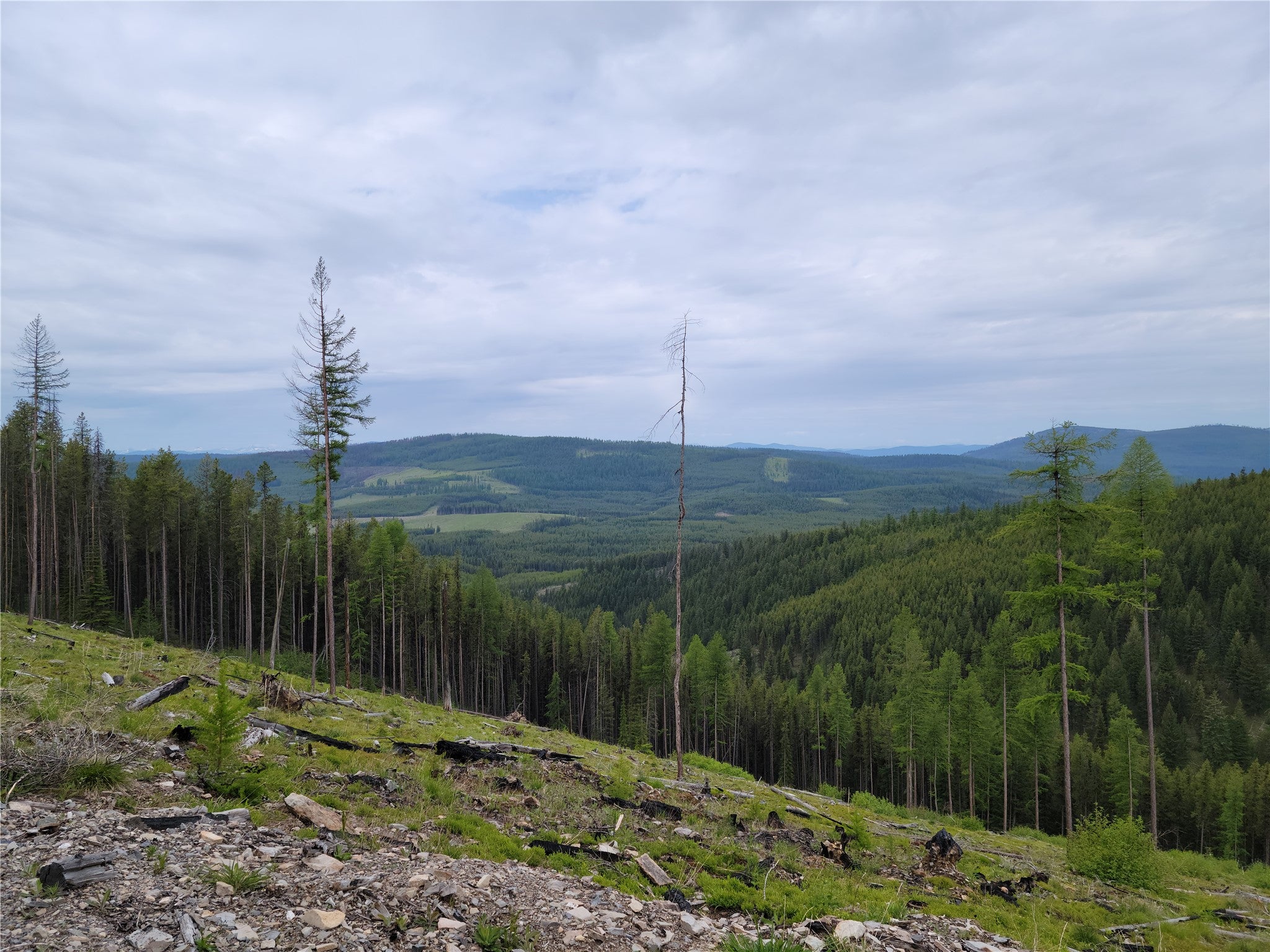 NHN Griffin Creek Road