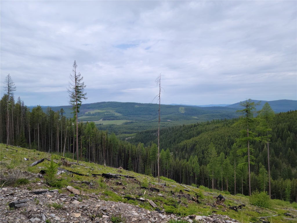 Photo of NHN Griffin Creek Road, Marion, MT 59925 (MLS # 30077707)
