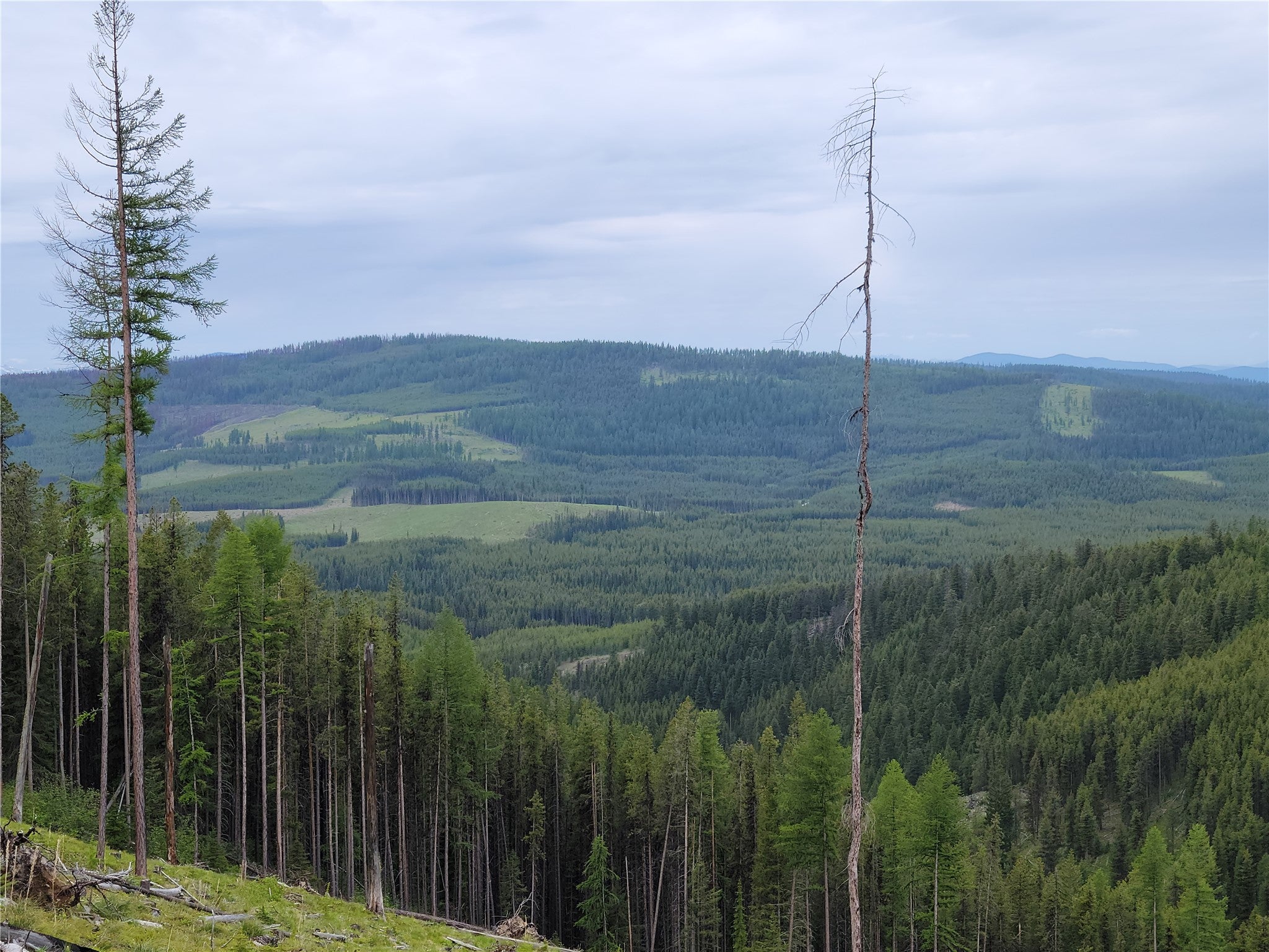 NHN Griffin Creek Road