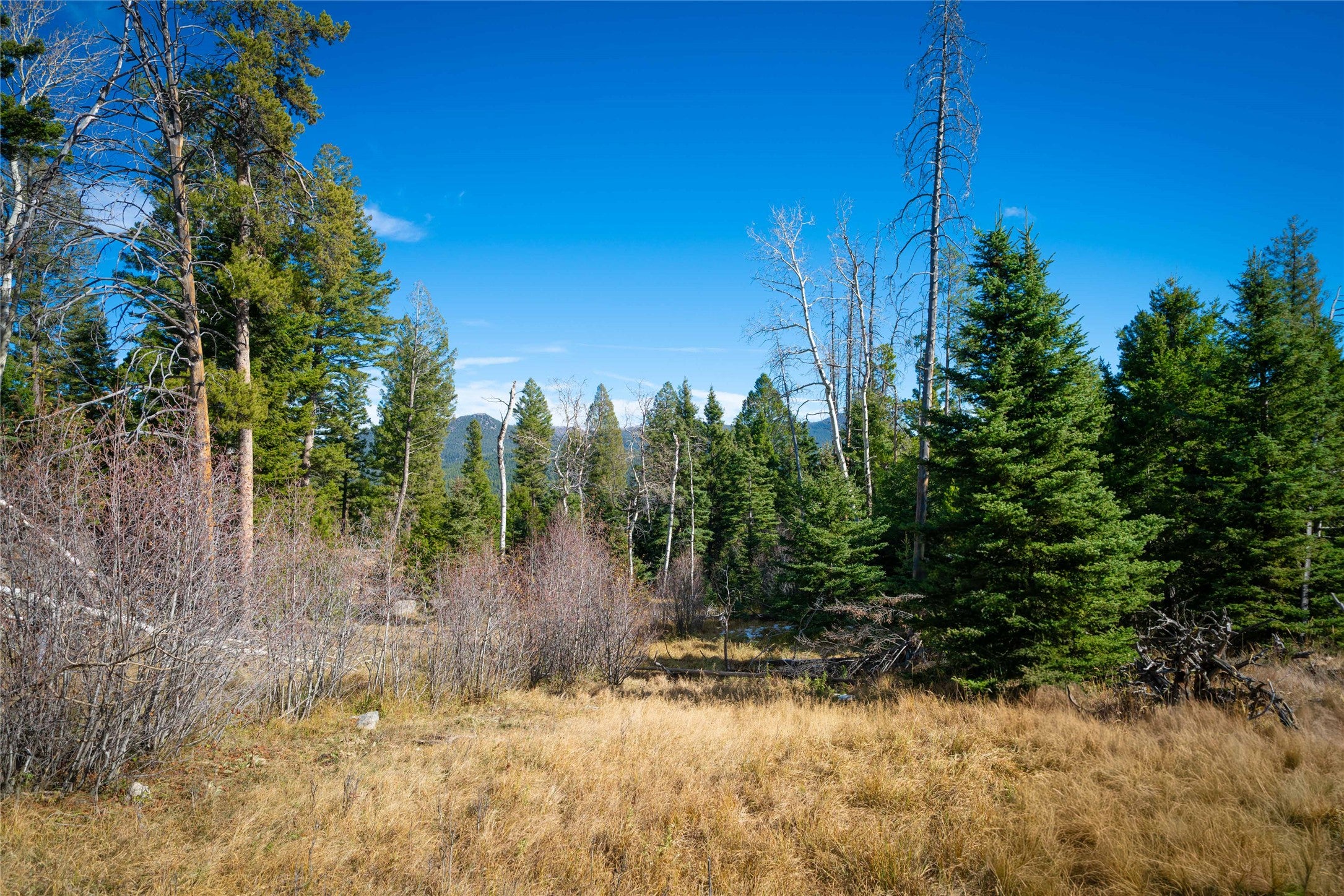 TBD Delmoe Lake Road