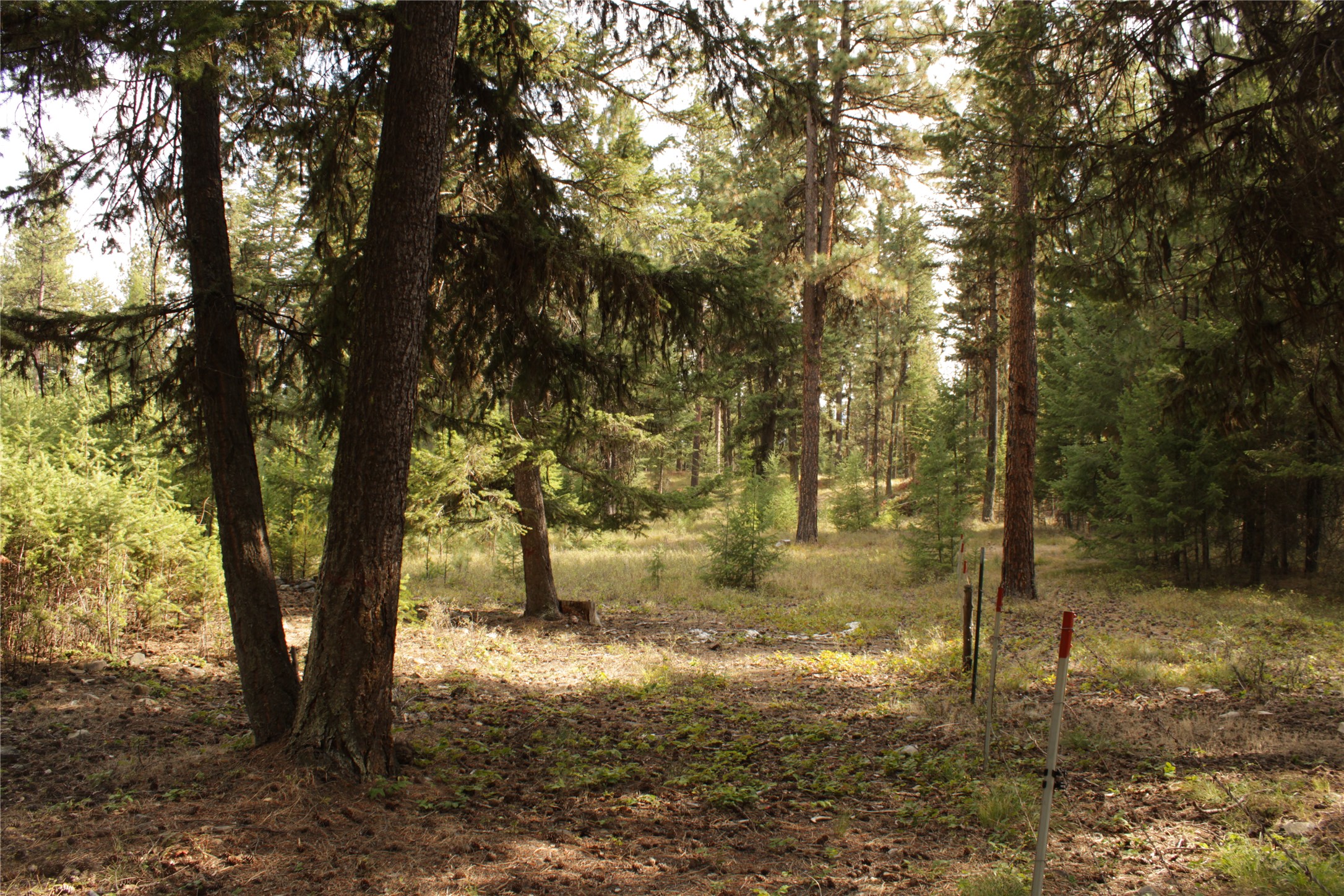 27603 Issac Creek Road