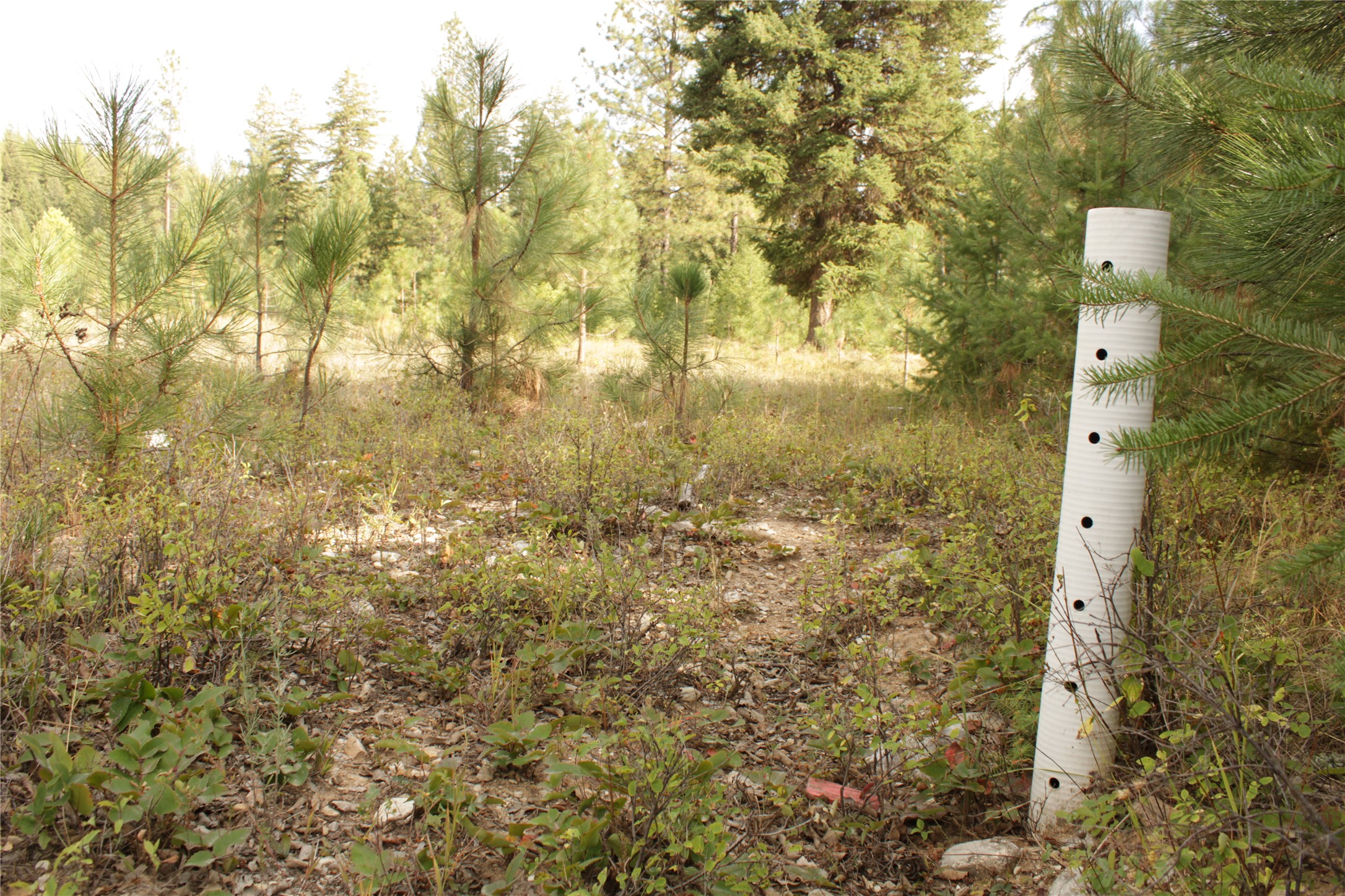 27603 Issac Creek Road