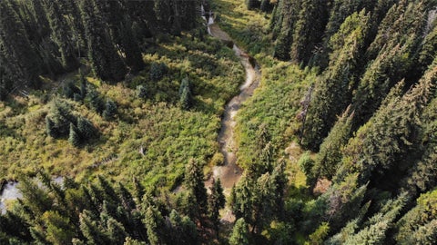 Tiny photo for 3380 Swamp Creek Road, Trego, MT 59934 (MLS # 30077093)