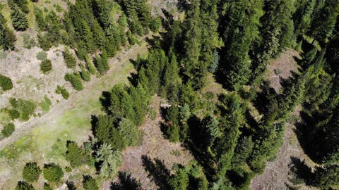 Tiny photo for 3380 Swamp Creek Road, Trego, MT 59934 (MLS # 30077093)