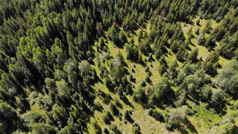Tiny photo for 3380 Swamp Creek Road, Trego, MT 59934 (MLS # 30077093)